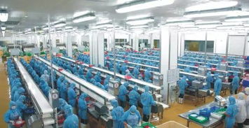 湛江國聯(lián) 深耕電商領域產(chǎn)業(yè)延伸成效初顯