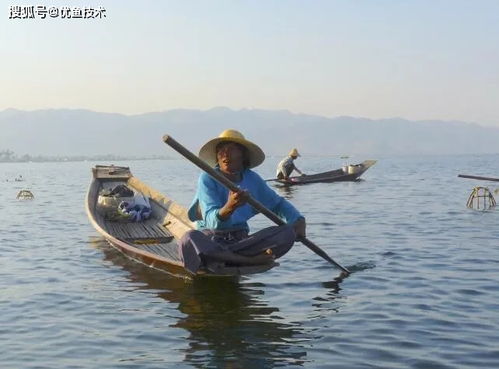 優(yōu)魚技術水質(zhì)監(jiān)測系統(tǒng),讓水產(chǎn)養(yǎng)殖更加科學