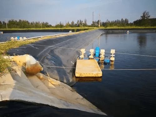 水產養殖還不會用菌 有哪些注意事項 你都用對了嗎 干貨滿滿