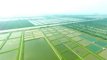 科技要聞-廣州市科學技術協會