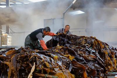 金融支點撬動三產融合 恒豐銀行威海分行助力&ldquo;海帶之都&rdquo;提檔升級