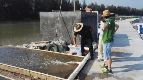 關(guān)注 還記得讓天敵共存的 共享池塘 嗎 這項(xiàng)養(yǎng)殖 黑科技 入選省重點(diǎn)研發(fā)計(jì)劃項(xiàng)目啦