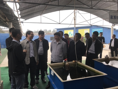 全國(guó)水產(chǎn)技術(shù)推廣總站張鋒書(shū)記到晉江福大鮑魚(yú)水產(chǎn)調(diào)研