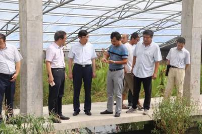 趙衛星書記調研農業產業發展:要全力打造成為鄉村振興戰略先行區