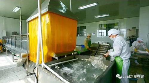 金獎(jiǎng)企業(yè) 旭煌食品 巧用科技助力 讓 魚丸 國(guó)際旅程更遠(yuǎn)