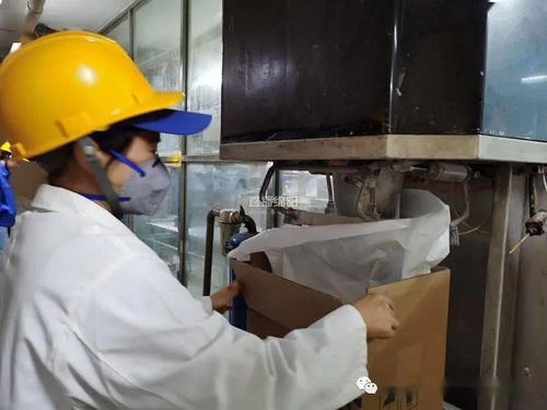 疫情之下逆勢突圍 企業(yè)擴大外貿帶動就業(yè)