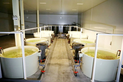 楊凌:&ldquo;海鮮陸?zhàn)B&rdquo;技術推動水產養(yǎng)殖新革命