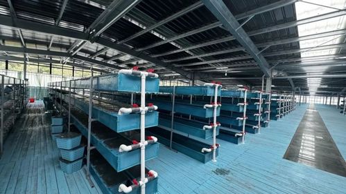 浙江三門 基層漁技員的考場在塘頭