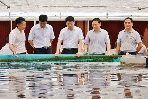 農業農村部部署推進水產綠色健康養殖技術推廣 五大行動