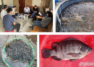 南海所&ldquo;高密度對蝦+海水羅非魚異位串聯的生物絮團零換水養殖技術&rdquo;試驗示范通過測產驗收