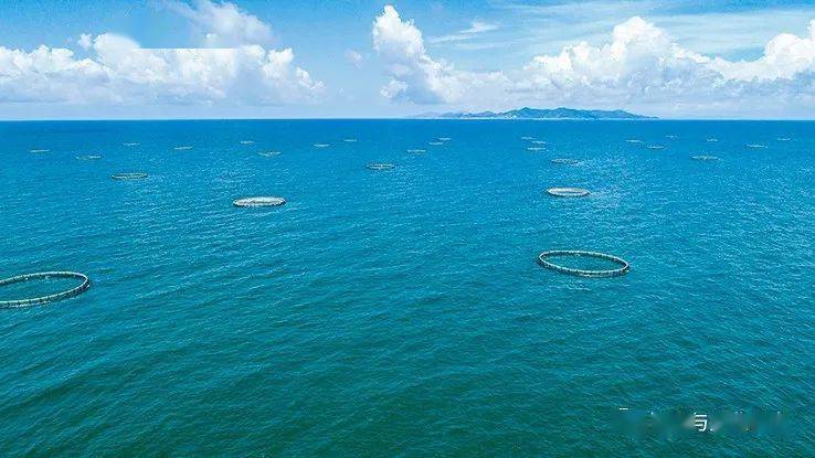 &ldquo;十三五&rdquo;廣東漁業 走出生態綠色漁業發展新路子