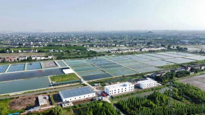 靖江基地一期工程基本完工，水產養殖科研迎來新突破