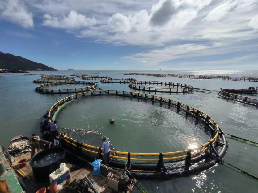 全省示范！溫州3家農家樂休閑觀光服務獲殊榮