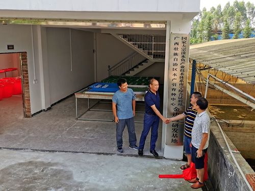 深耕八桂漁水情，科技扶貧譜新篇——記廣西水產(chǎn)引育種中心大宗淡水魚產(chǎn)業(yè)技術(shù)扶貧團(tuán)隊(duì)